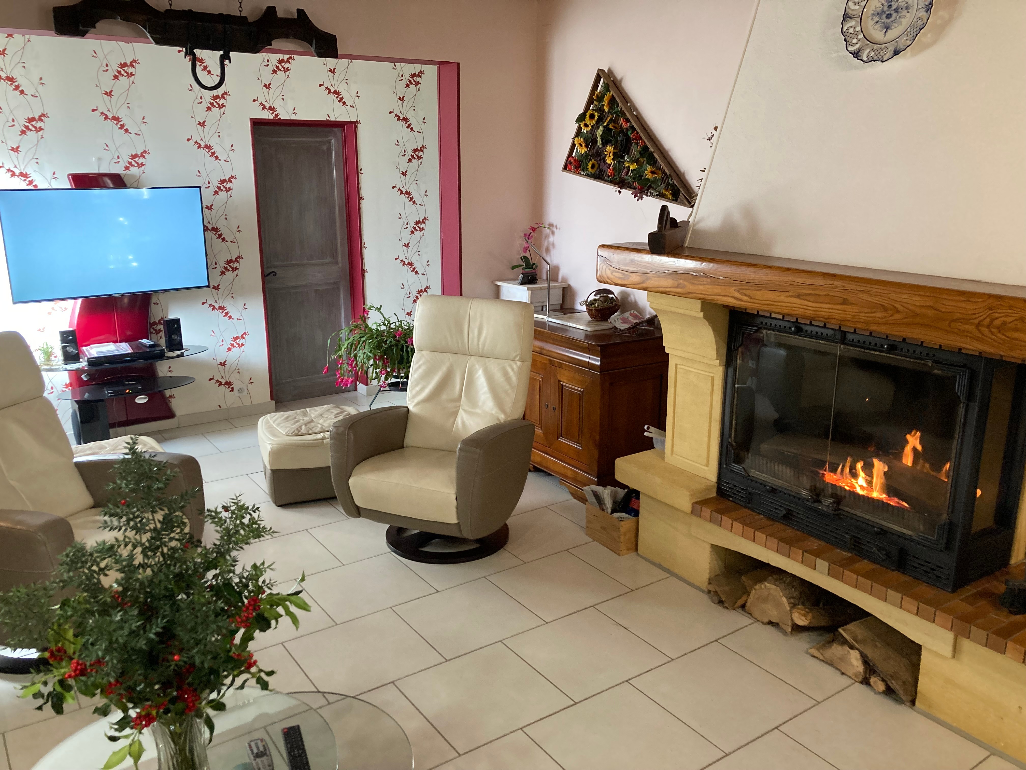 salon avec cheminée foyer fermé