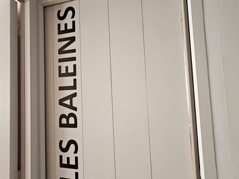 Suite familiale Les Baleines jusqu'à 4 personnes, au 1er étage, près de La Rochelle, Chambres d'hôtes "Les 3 phares"