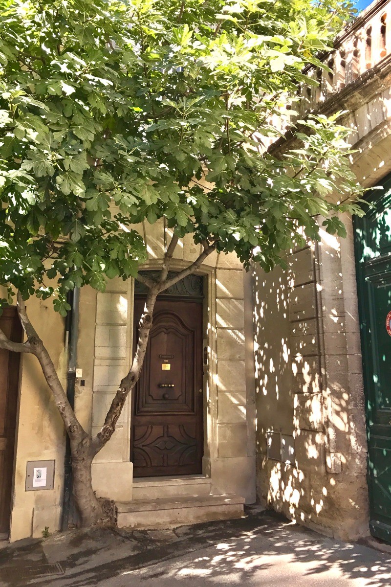 Photo n° 8 of the location