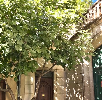 Photo n° 8 de la location