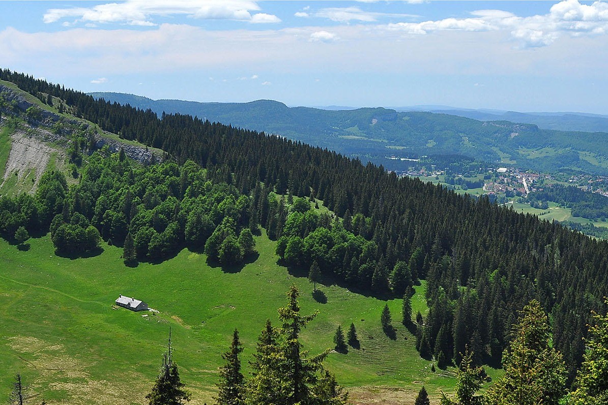 paysage Haut-Jura