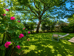 private garden