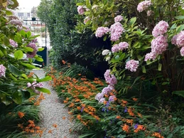 Entrée côté rue. Les Montbretias.