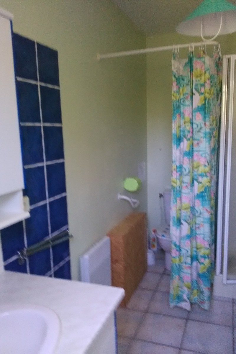 salle de bain et WC
