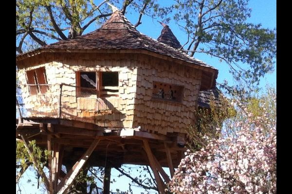 fenêtre déco et protection de fenêtre gaïa