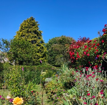 Photo n° 12 of the location