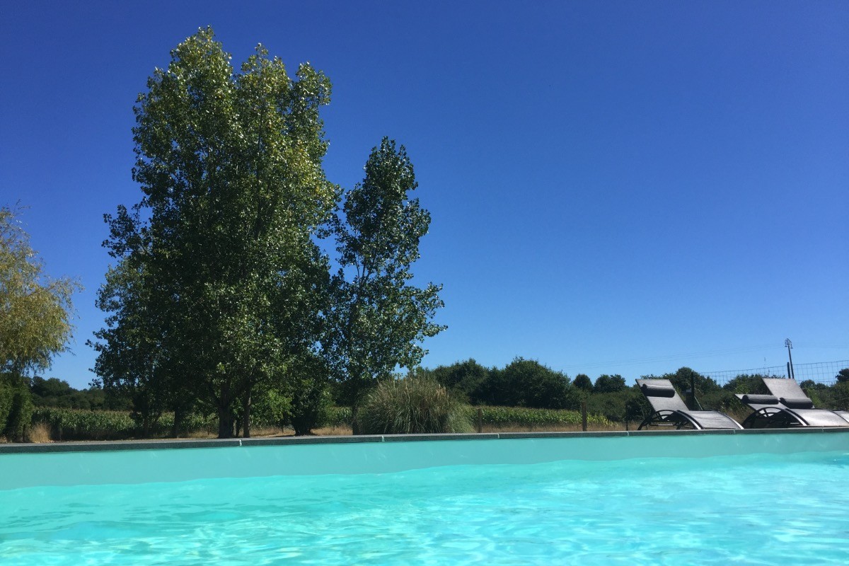 Photo n° 20 de la location