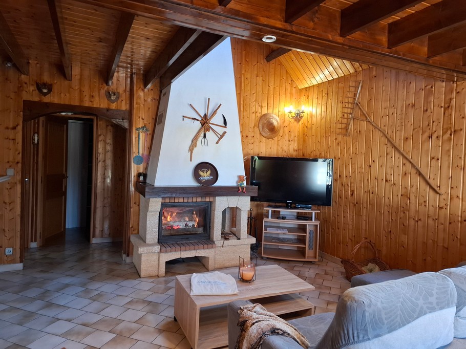 Séjour avec cheminée