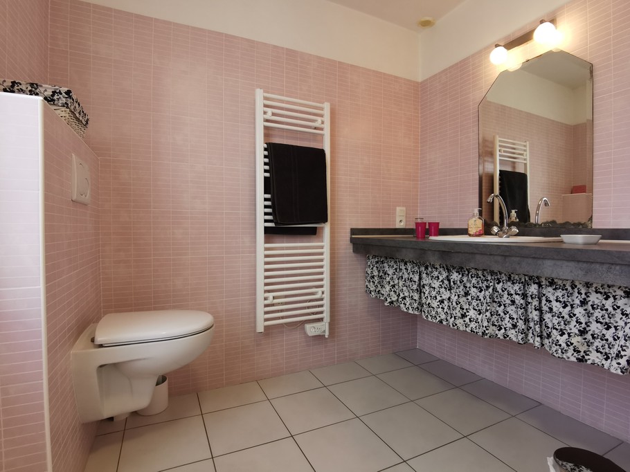 RDC: salle d'eau avec WC