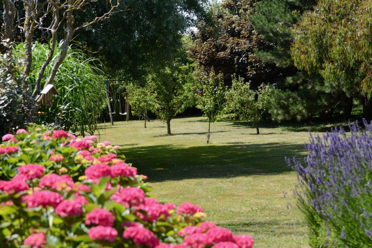 Le jardin.