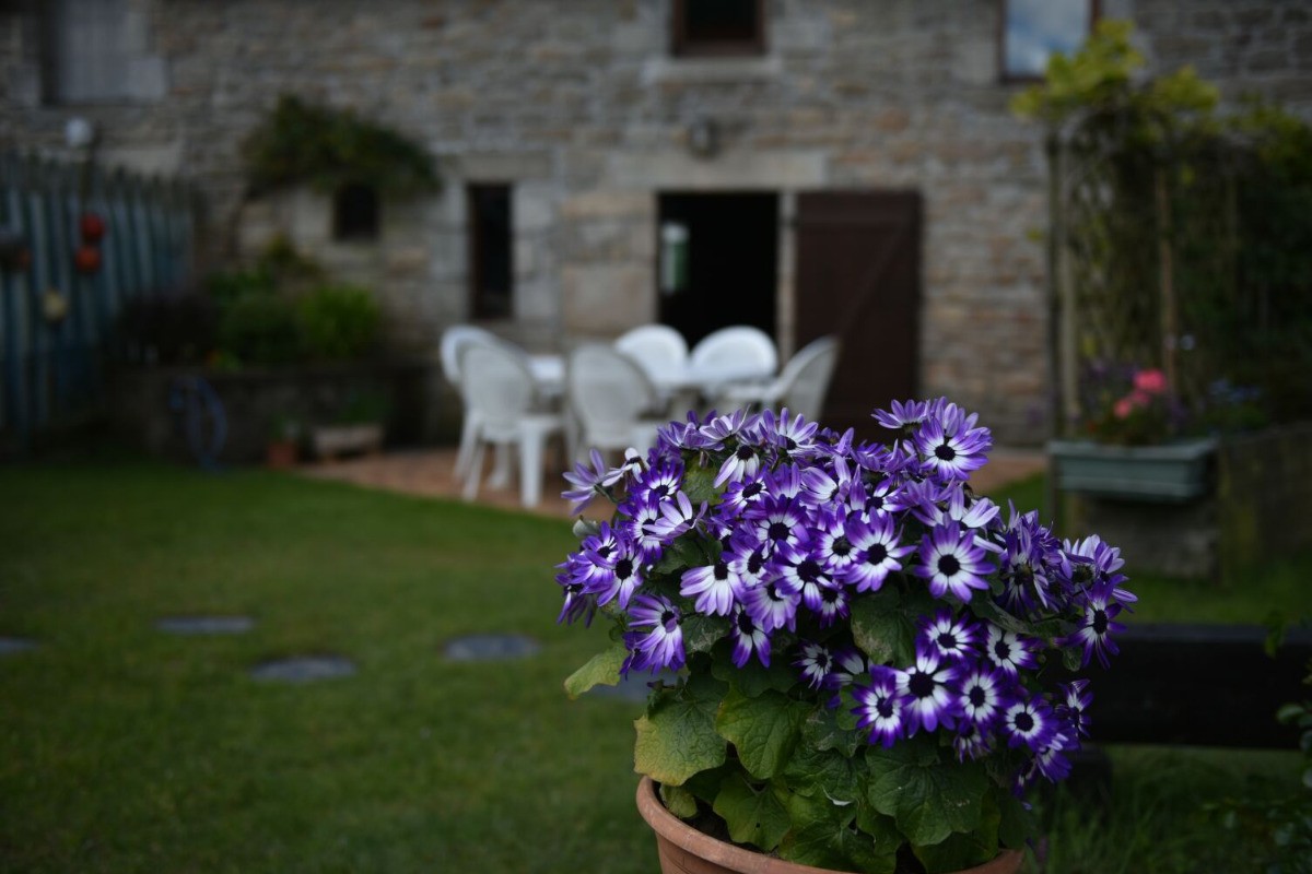 Photo n° 18 de la location