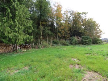 Espace extérieur commun - Chambre familiale Les Suffragettes Docelles
