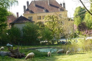 Les moutons du château de Joudes