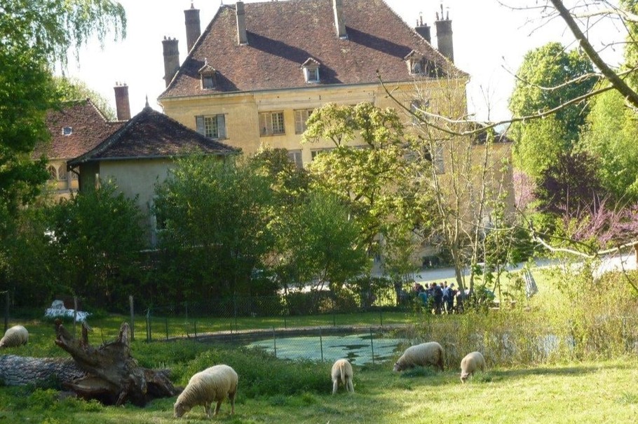 Les moutons du château de Joudes