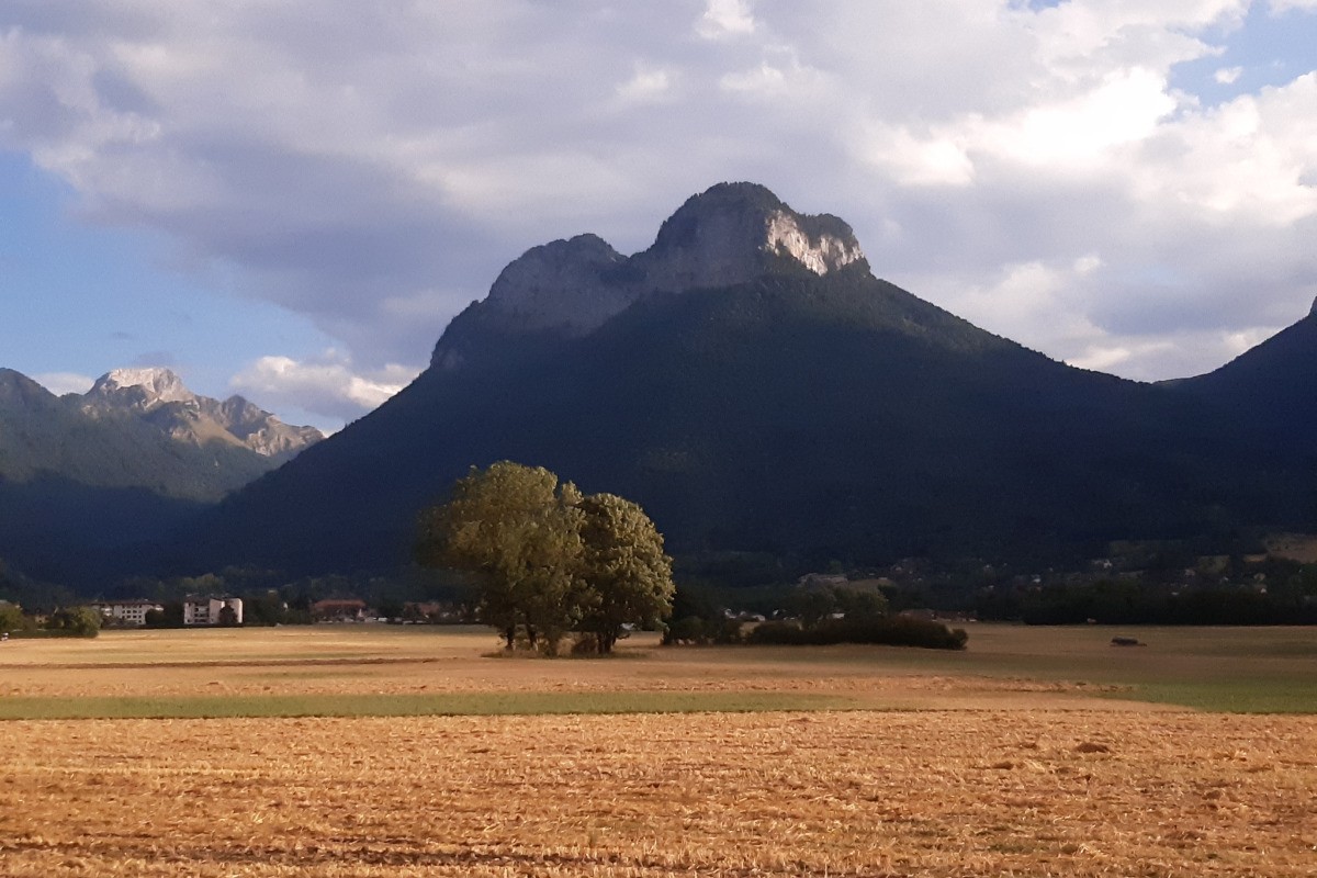 Charbon