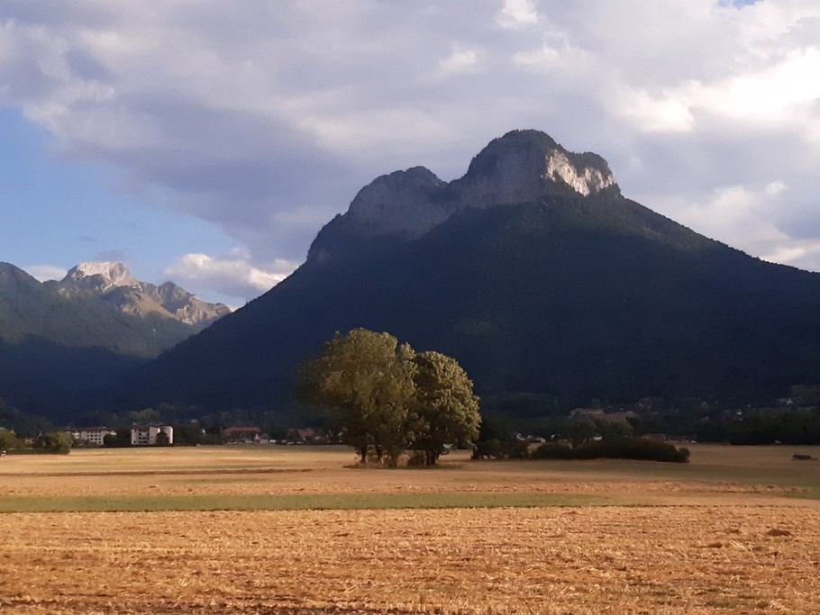 Charbon
