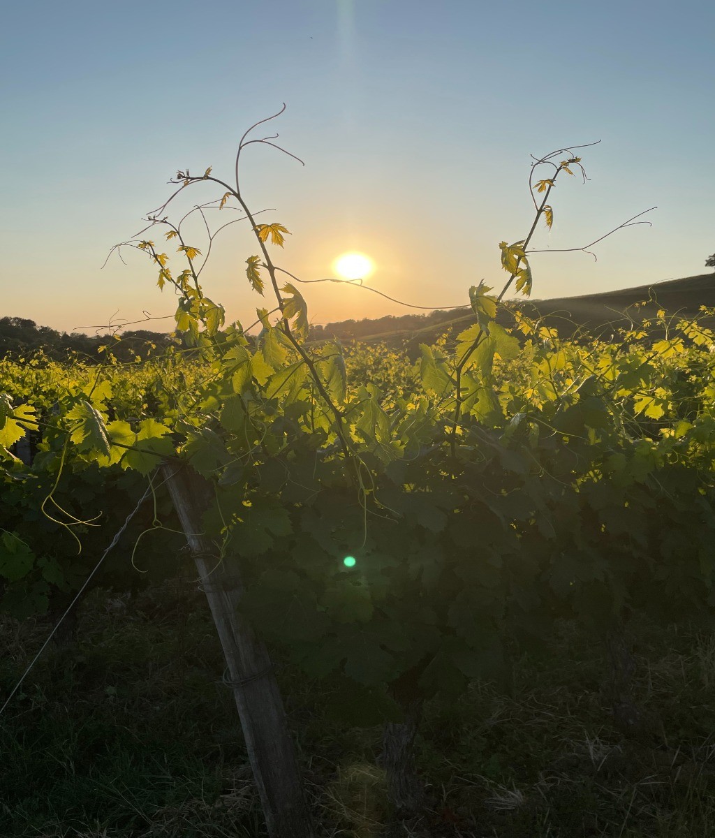 Photo n° 18 of the location