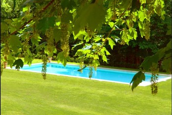 Photo n° 12 de la location