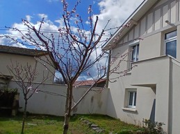 La Maison Triange, appartement 2 à 4 personnes, Montrond les Bains