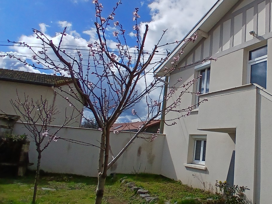 La Maison Triange, appartement 2 à 4 personnes, Montrond les Bains
