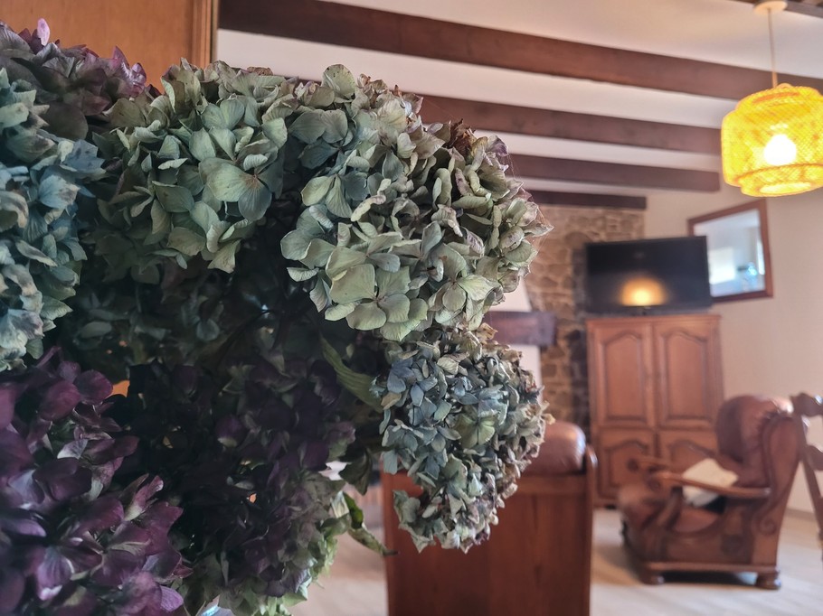 Le Grand location de vacances, Pléhedel, Séjour salon et cusine aménagée