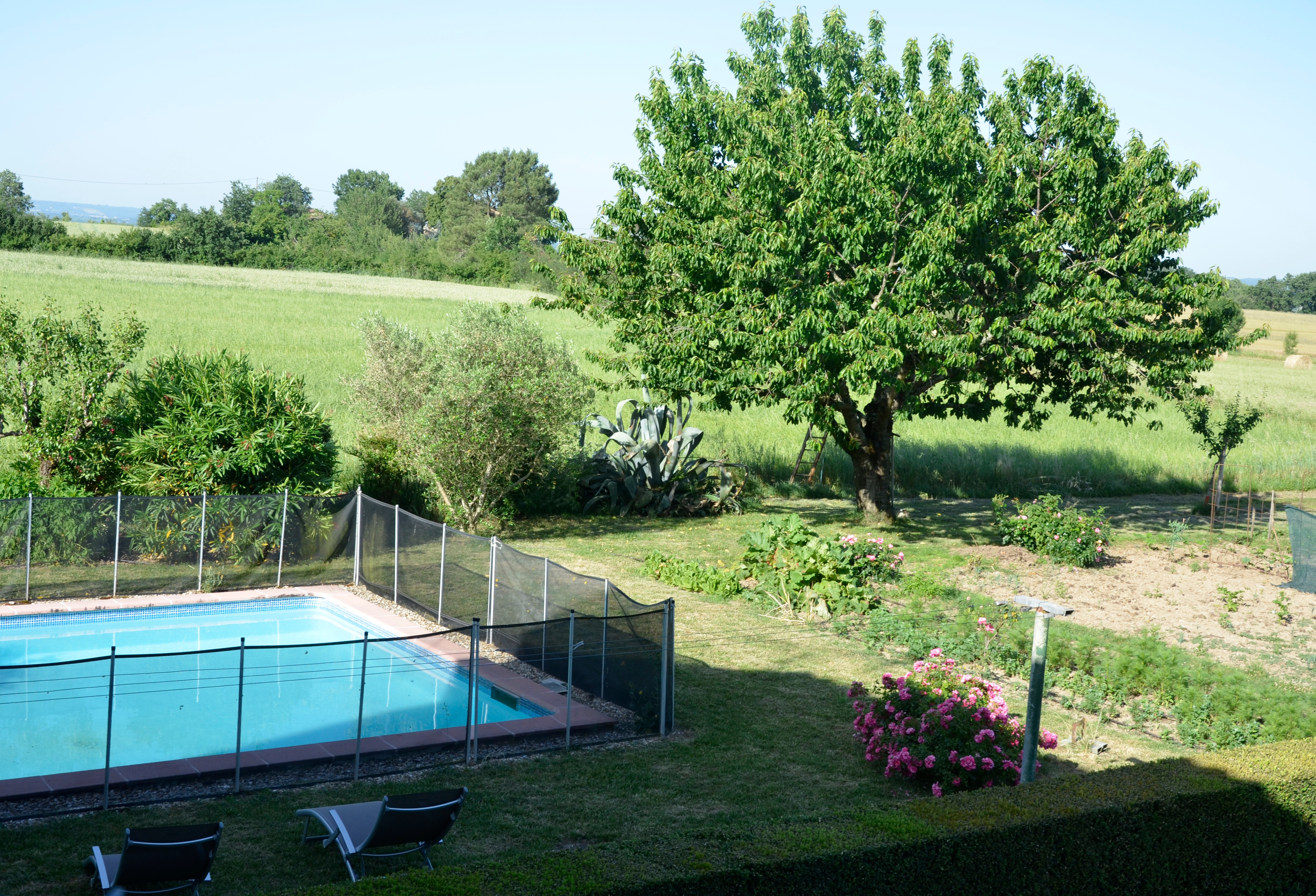 Photo n° 18 of the location