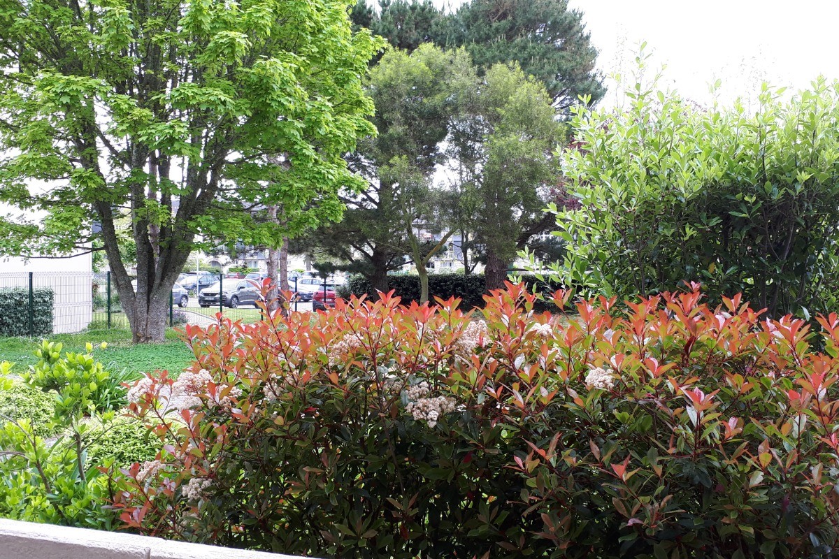 La vue sur la verdure