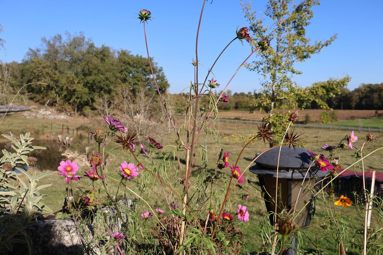 Roulottes & Spa - hébergements insolites - Terra Bulle Lot-et-Garonne