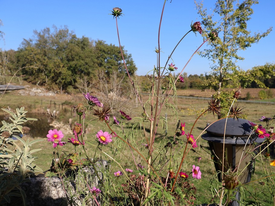 Roulottes & Spa - hébergements insolites - Terra Bulle Lot-et-Garonne