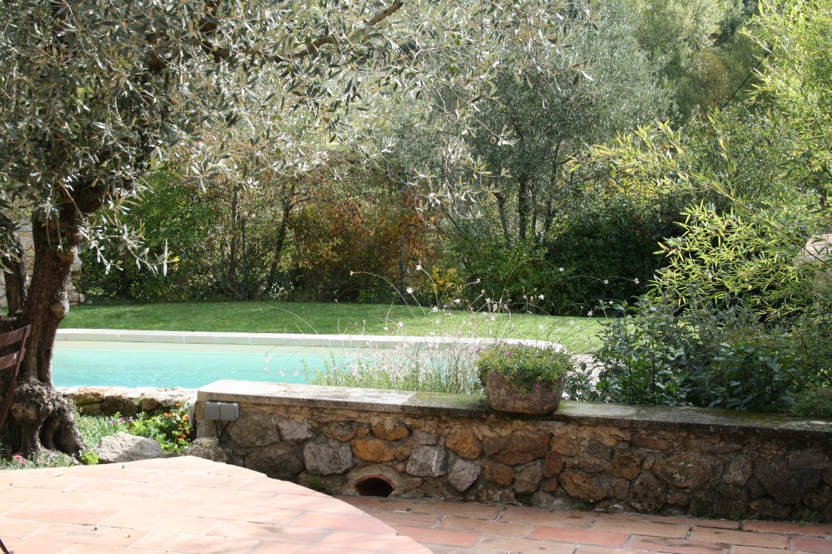 A l'ombre de l'Olivier, vue sur la piscine