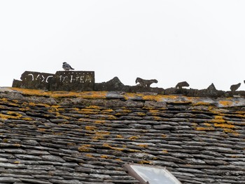 Lignolets au sommet de la toiture de la maison