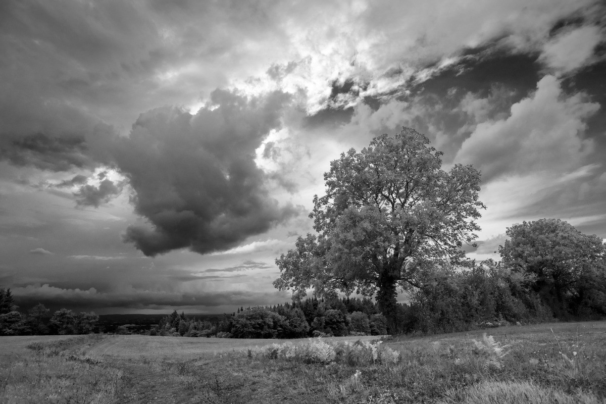 Vue sur la plaine