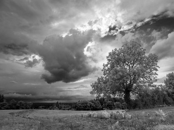Vue sur la plaine