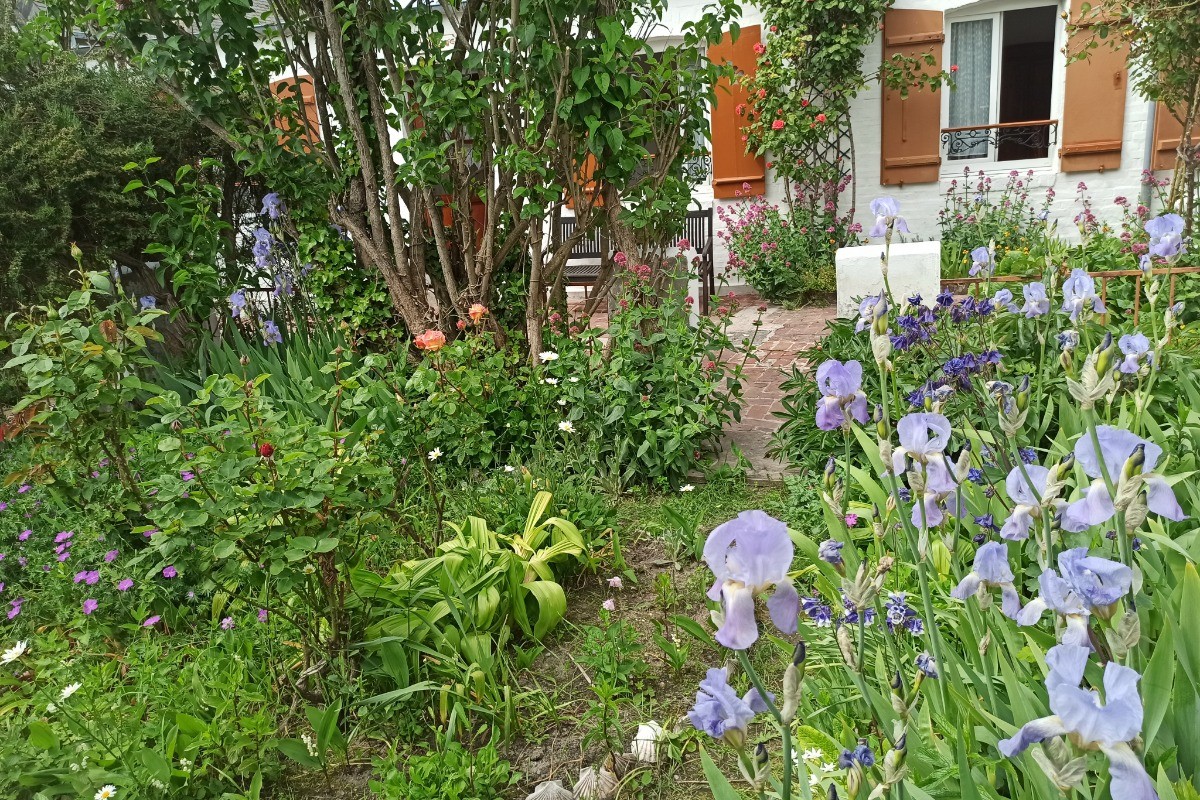 Le petit jardin, côté rue et le logement en arrière plan