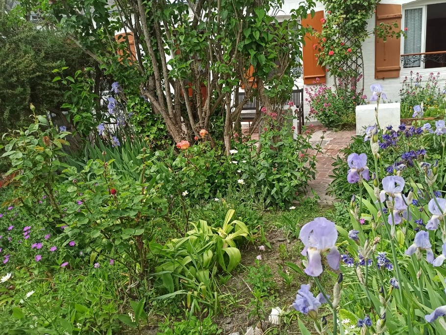 Le petit jardin, côté rue et le logement en arrière plan