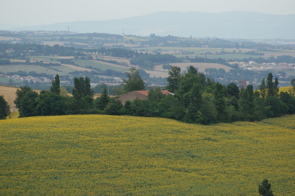 La Tabernole: un ilot de verdure dans la campagne