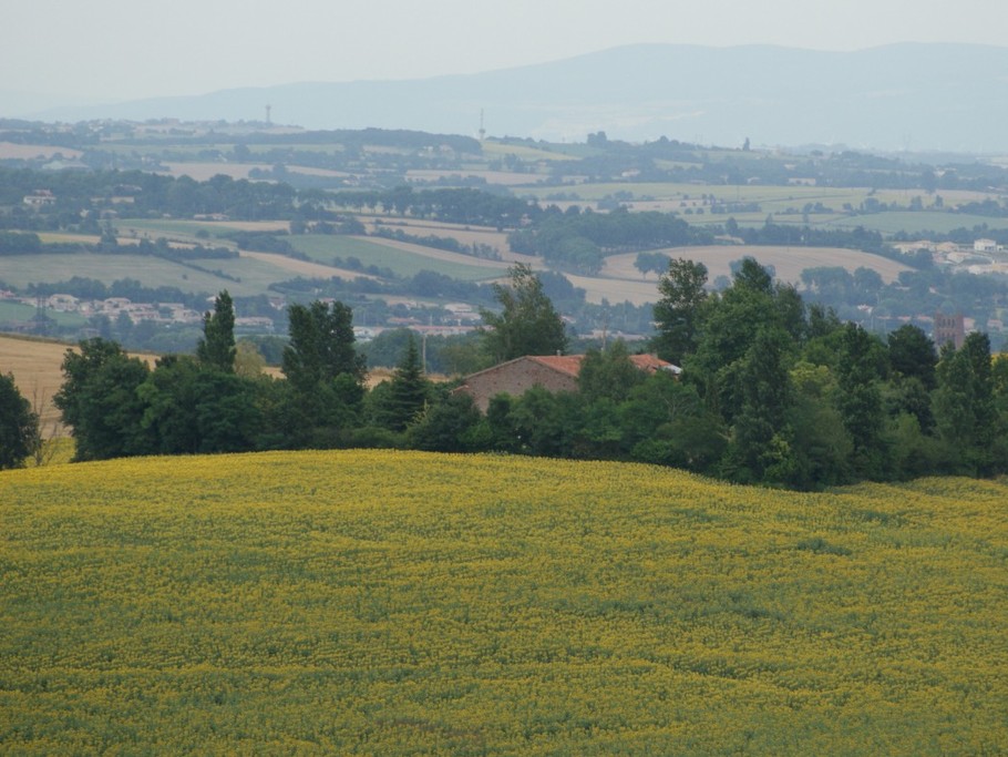 La Tabernole: un ilot de verdure dans la campagne