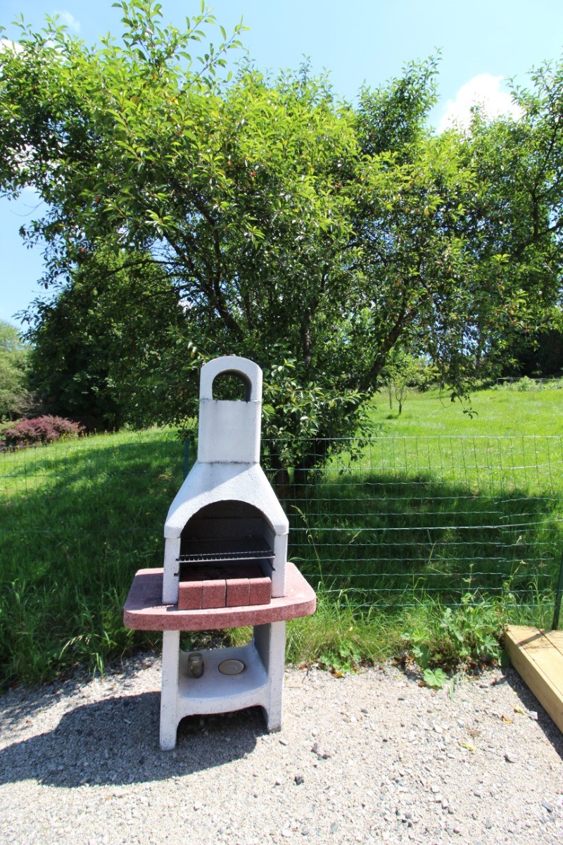 Chalet Salamandre - La barbecue