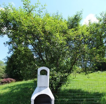 Chalet Salamandre - La barbecue