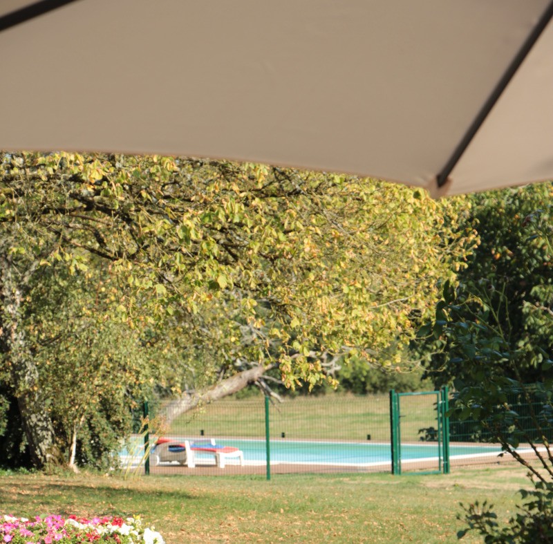 piscine vue du gîte