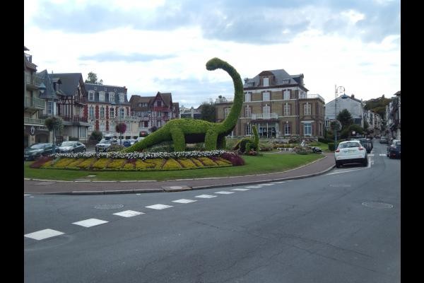 Photo n° 6 of the location