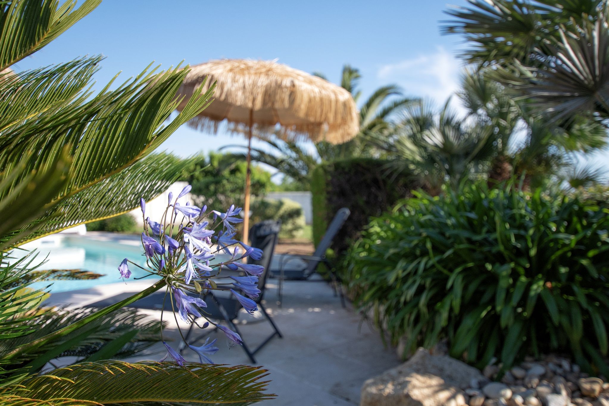 Villa Marennes Cap Oléron avec piscine pour 8 personnes en Charente maritime