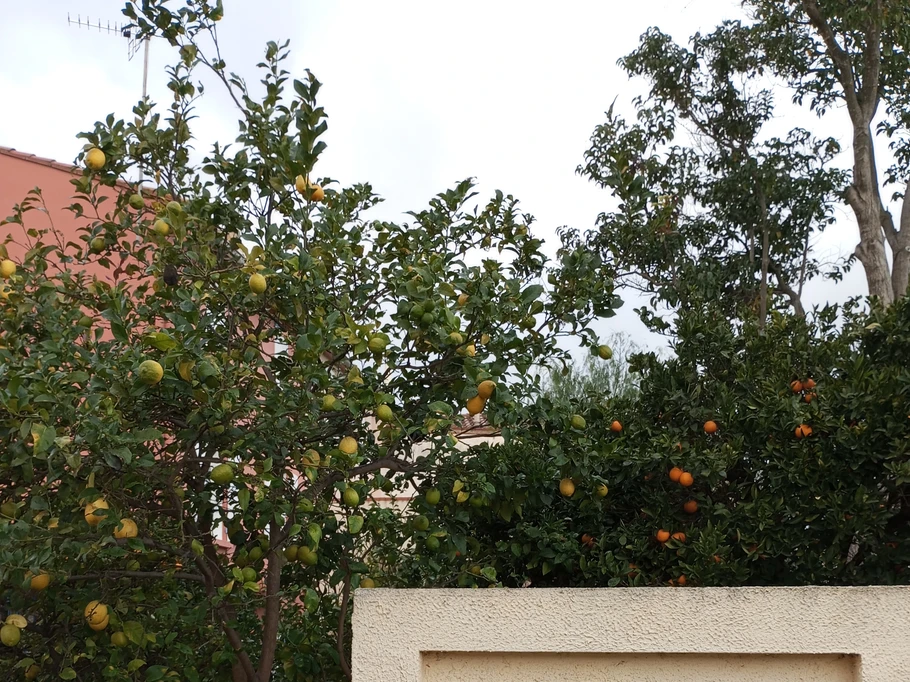 notre jardin