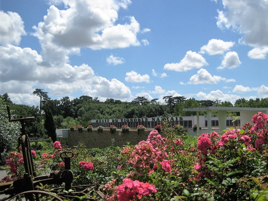 Musée du Vignoble Nantais