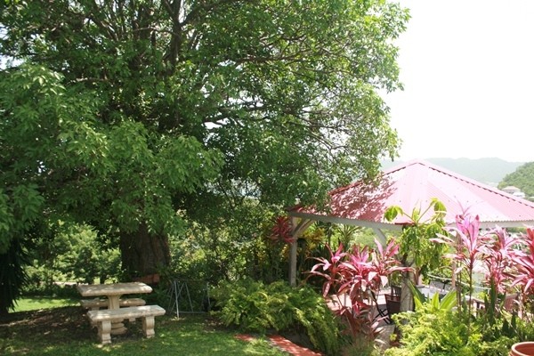 Photo n° 8 de la location