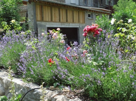 Jardin