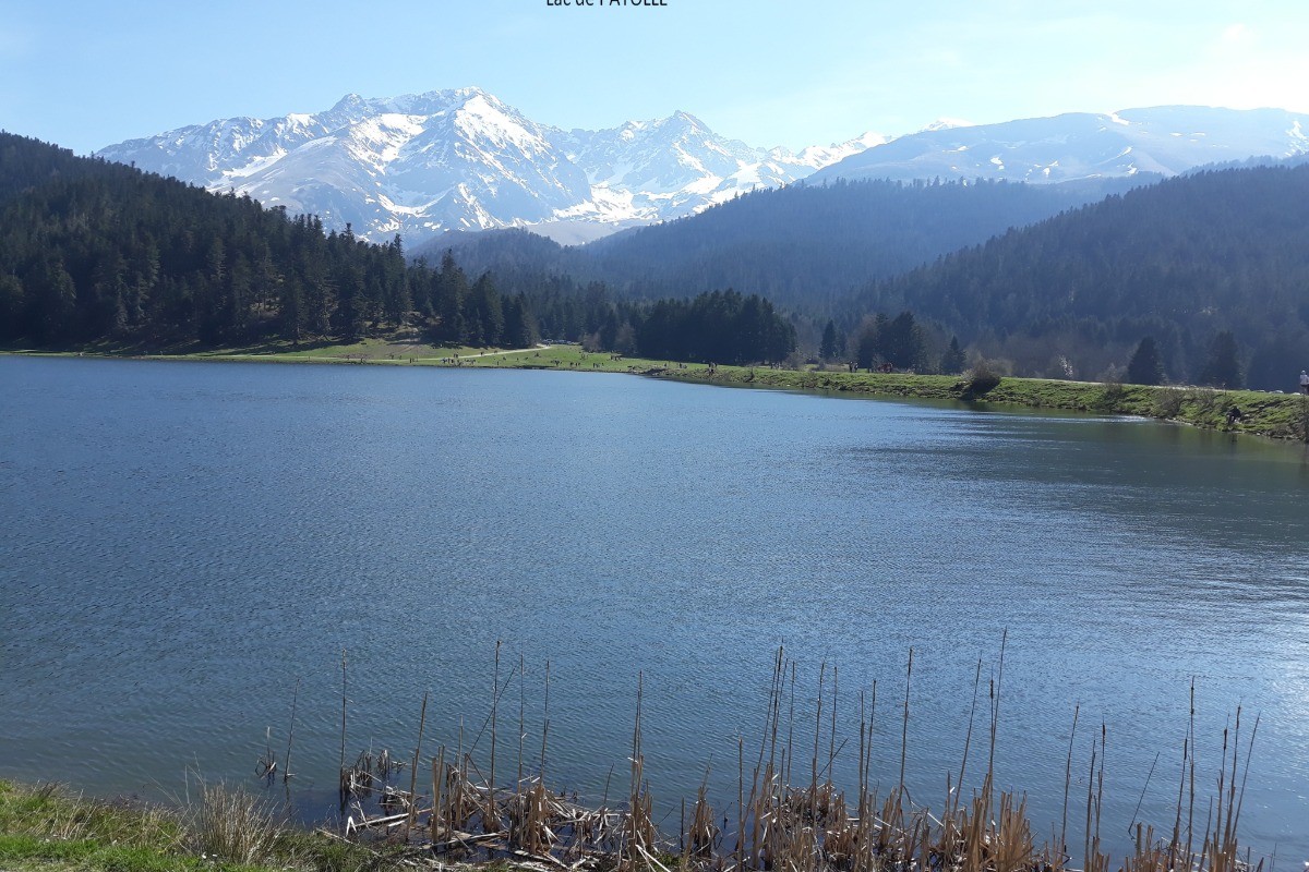 Photo n° 15 de la location