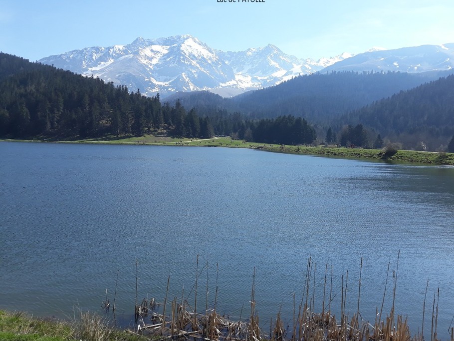 Photo n° 15 de la location