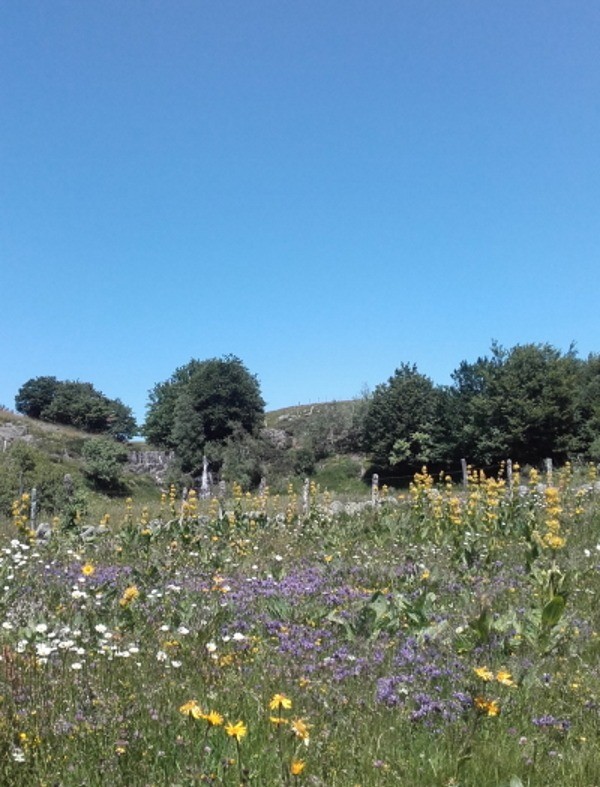 Photo n° 13 de la location