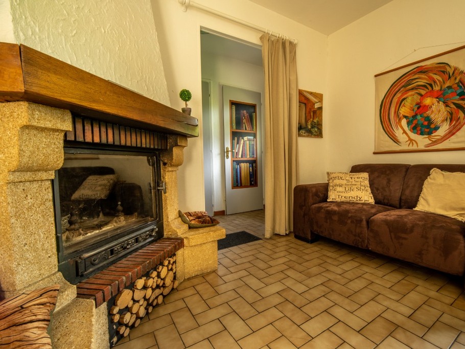 La cheminée et salon..